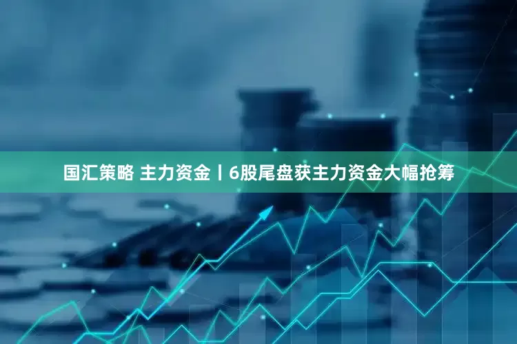 国汇策略 主力资金丨6股尾盘获主力资金大幅抢筹